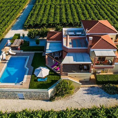 Cretan Vineyard Hill Villa Kato Kalesia エクステリア 写真
