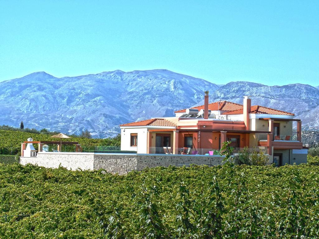 Cretan Vineyard Hill Villa Kato Kalesia エクステリア 写真