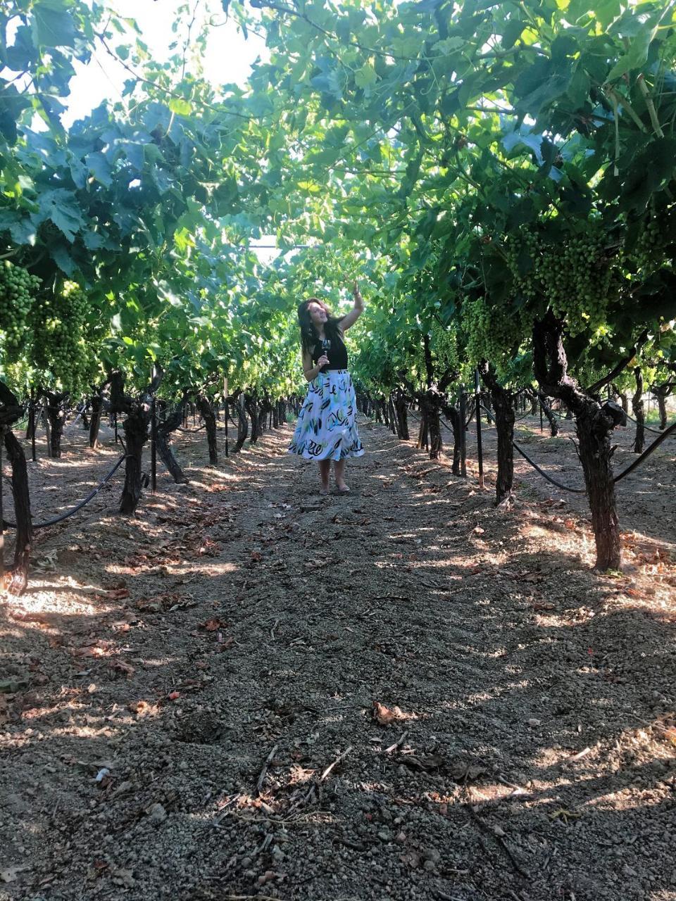 Cretan Vineyard Hill Villa Kato Kalesia エクステリア 写真